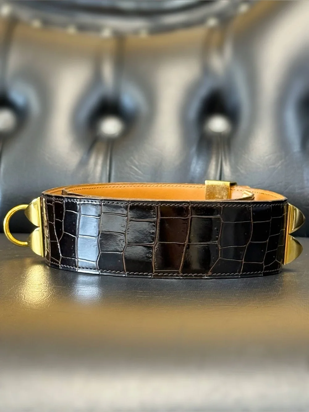 Vintage Hermès Medor Ebene brown CROC collier de chien crocodile belt